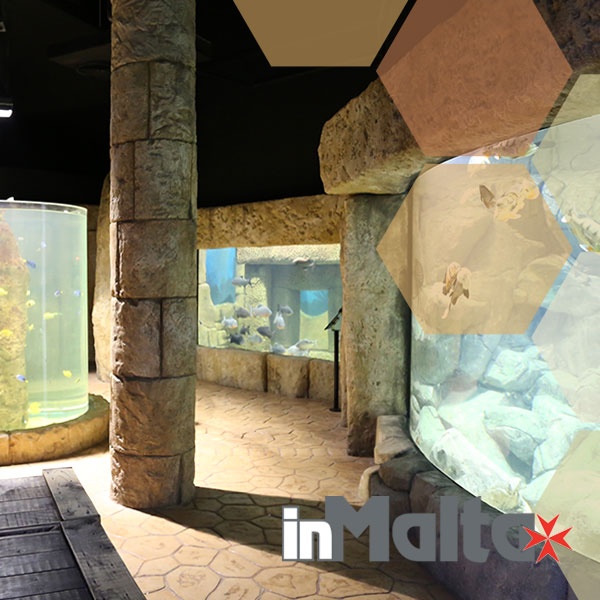 Malta National Aquarium