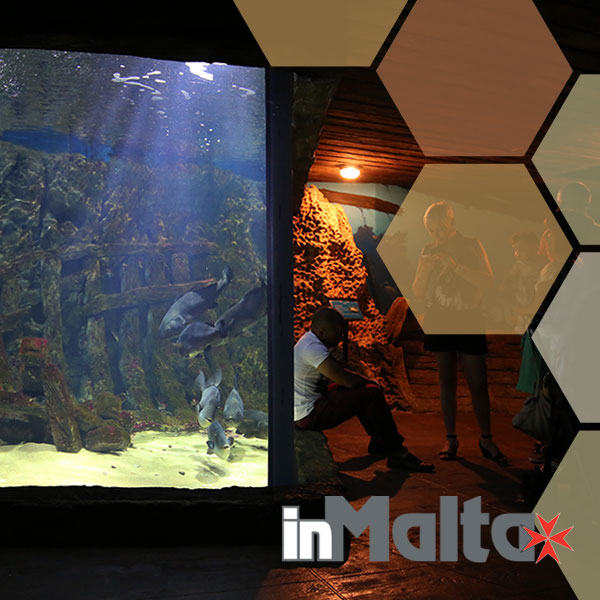 Malta National Aquarium