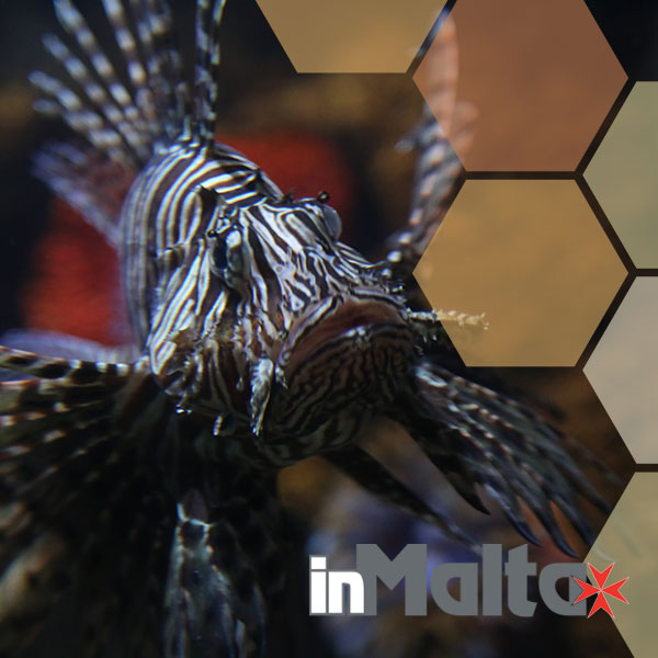 Malta National Aquarium