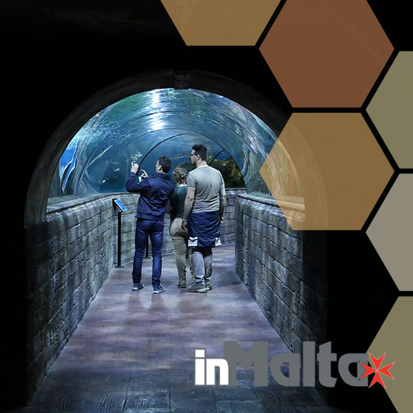 Malta National Aquarium