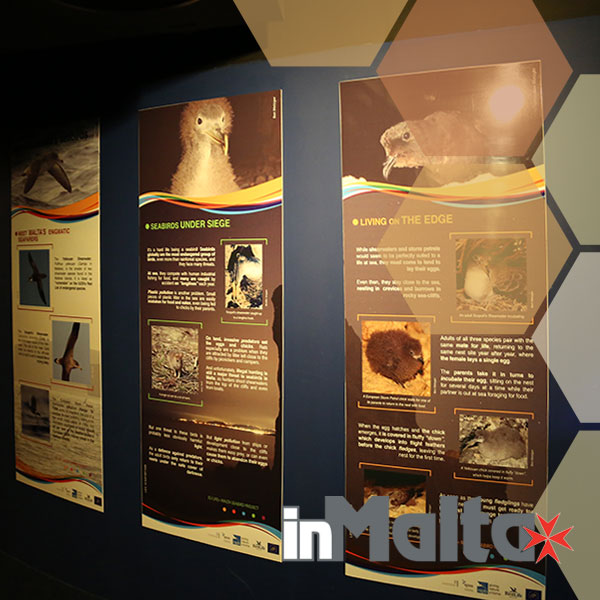 Malta National Aquarium