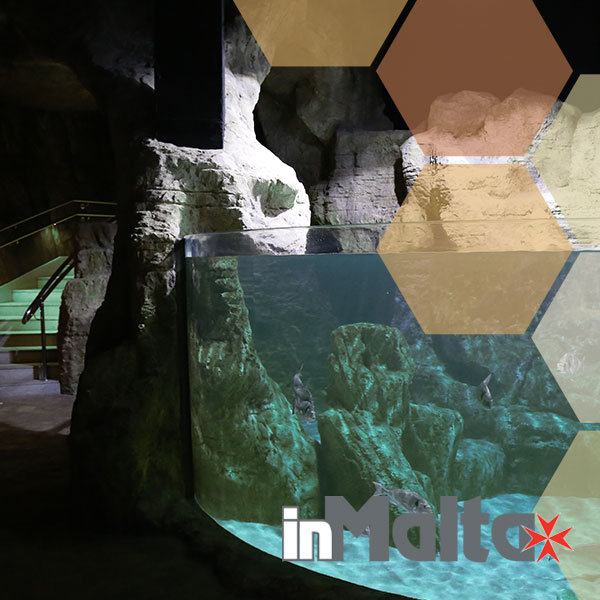 Malta National Aquarium