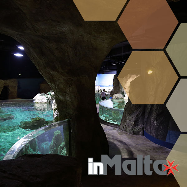 Malta National Aquarium
